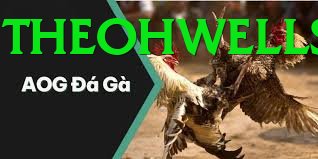 Đá Gà Trực Tiếp - hubet